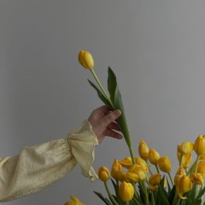Test 3